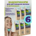 Травяной чай Эндокринорм набор 6 шт в пирамидках