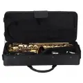 TSC-16 BK кейс для саксофона-тенор (водоотталкивающий)