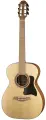 D026A Гитара акустическая, Doff