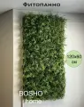 Фитостена из декоративных растений модульная дисхидия 120х60 см