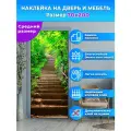 Наклейка интерьерная неа дверь Лестница в джунгли, 70х200 см самоклеющаяся