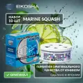 EIKOSHA Набор ароматизаторов для машины и дома - MARINE SQUASH / морская свежесть, автомобильный парфюм, арт. A-19 (10 шт.)