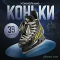 Коньки Winter Star Advanced Way, хоккейные, пластик, шнурки