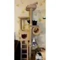 Игровой комплекс Когтеточки Киров, из ковролина для кошки, высота 170см, коричневый и белый