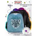 Ранец школьный Комус Класс Basic Барс, ортопедический, 2 отделения, 2 кармана