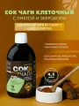 Сок Чаги клеточный с пихтой и зверобоем Поддерживает работу иммунной системы