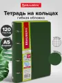Тетрадь на кольцах А5 (180х220 мм), 120 листов, под кожу, клетка, Brauberg Joy, зелёный/светло-зелёный, 129991