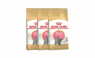 Royal Canin Kitten British Shorthair сухой корм для котят породы британская гладкошерстная - 400 г х 3 шт.