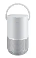 Портативная акустика Bose Portable Home Speaker Silver