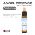 Цветы Баха «Ангел Прощения», вибрационная эссенция - капли 10 мл. Англия