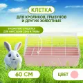 Клетка 60 см для кролика, морской свинки, грызунов и других животных (Розовая)
