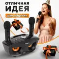 Караоке система SD-306 Сова, беспроводная, с двумя микрофонами, черная