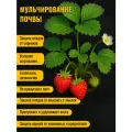 Геотекстиль черный 150 микрон 160см 10м (16 М2)