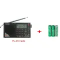 Портативное радио Tecsun PL-310ET, Black--Battery-3