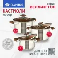 Набор посуды нержавеющая сталь, 6 предметов, кастрюли 2, 2.8, 3.8 л, индукция, Daniks, Веллингтон, GS-01415-6SE