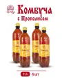 Напиток Комбуча с Прополисом 4 шт х 1 л чайный гриб, мёд и прополис