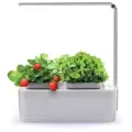 Умный сад с подсветкой iGarden LED, гидропоника, 38x28x 12 см