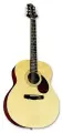 Акустическая гитара GREG BENNETT GJ100S/N