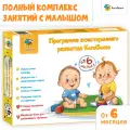 Развивающий набор KoroBoom Программа всестороннего развития От 6 месяцев, пошаговый годовой курс занятий для детей до года, комплект обучающих карточек и книг, мои первые слова, подарочный бокс