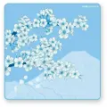 Коврик для мыши X-raypad Aqua Control II Sakura Blue XL Square (500x500x4мм)