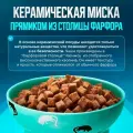 Зеленая керамическая миска XL для кошек и собак PETKIT
