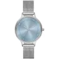 Наручные часы SKAGEN, серебряный