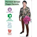 Педро Паскаль 8 Ростовая фигура, Гофрокартон, (Print100.ru), 180см