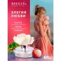 Breesal диффузор Arome Fleur Элегия любви, 60 мл 1 шт. 60 мл 0.3 кг цветочный