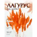 Сухоцвет Лагурус оранжевый для декора, букет Зайцехвост, Stabflora