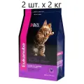 Eukanuba Для котят беременных и кормящих кошек с курицей (Kitten Healthy Start) 10144103 81061318 | Kitten Healthy Start 2 кг 24948 (2 шт)