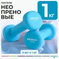 Гантели неопреновые PROIRON 2 шт по 1 кг, синие Г2010СНЕО