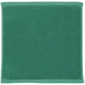 Полотенце La Maison de Domitille Oxford Green Grass 34x34 см