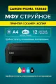МФУ струйное цветное Canon PIXMA TS3640 6670C007 с дисплеем, Wi-Fi, печать фотографий