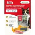 Влажный корм для кошек Blitz Classic Indoor пауч для стерилизованных (кусочки в соусе) Курица и тыква, 85 г х 24 шт.