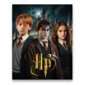 Алмазная мозаика на подрамнике 40х50/Гарри Поттер