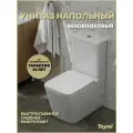 Унитаз напольный безободковый с бачком с быстросъемным сиденьем микролифт Teymi Helmi R T40327