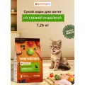 NOW'KITCHEN беззерновой сухой корм для котят со свежей индейкой, уткой, лососем и овощами, Kitten Grain-free Recipe, Turkey, Duck, Salmon, 7,26 кг
