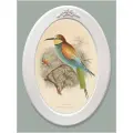 Картина в овальной деревянной раме с лепниной Птички