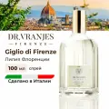 Dr.Vranjes Giglio di Firenze (Лилия Флоренции), спрей-ароматизатор воздуха, 100 мл