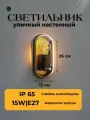 Светильник уличный настенный Arte lamp Marfik A2481AL-1GO
