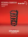 Пружина подвески задняя Хендай Санта Фе SZ2876, SC2331, RD5934