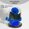 Стабилизированные цветы в стекле, Роза в колбе живая Bella синяя, GIFT4YOU