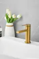 Смеситель монолитный для раковины золотой нержавеющая сталь, кран для умывальника BELZ B10813-5