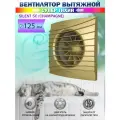 Вентилятор вытяжной Diciti SILENT 5C Champagne, с обратным клапаном, бесшумный, D 125 мм,
