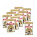 Royal Canin Maine Coon Adult влажный корм для взрослых кошек породы Мэйн Кун в соусе, в паучах - 85 г х 10 шт.
