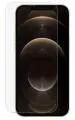 Защитное стекло для Apple iPhone 12 Pro Max прозрачное на плоскую часть экрана