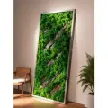 Панно из стабилизированного мха 100*50 см, Венге большая настенная картина для интерьера, для дома и комнаты