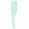 Расческа Tangle Teezer The Wet Detangler Fine & Fragile Sea Spray Green Мятный 2226