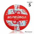Мяч волейбольный ONLYTOP, р. 5 (18 панелей, PVC, машинная сшивка)