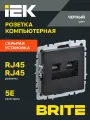 Розетка компьютерная двойная RJ45 категория 5E РК10-2-БрЧ IEK серия BRITE